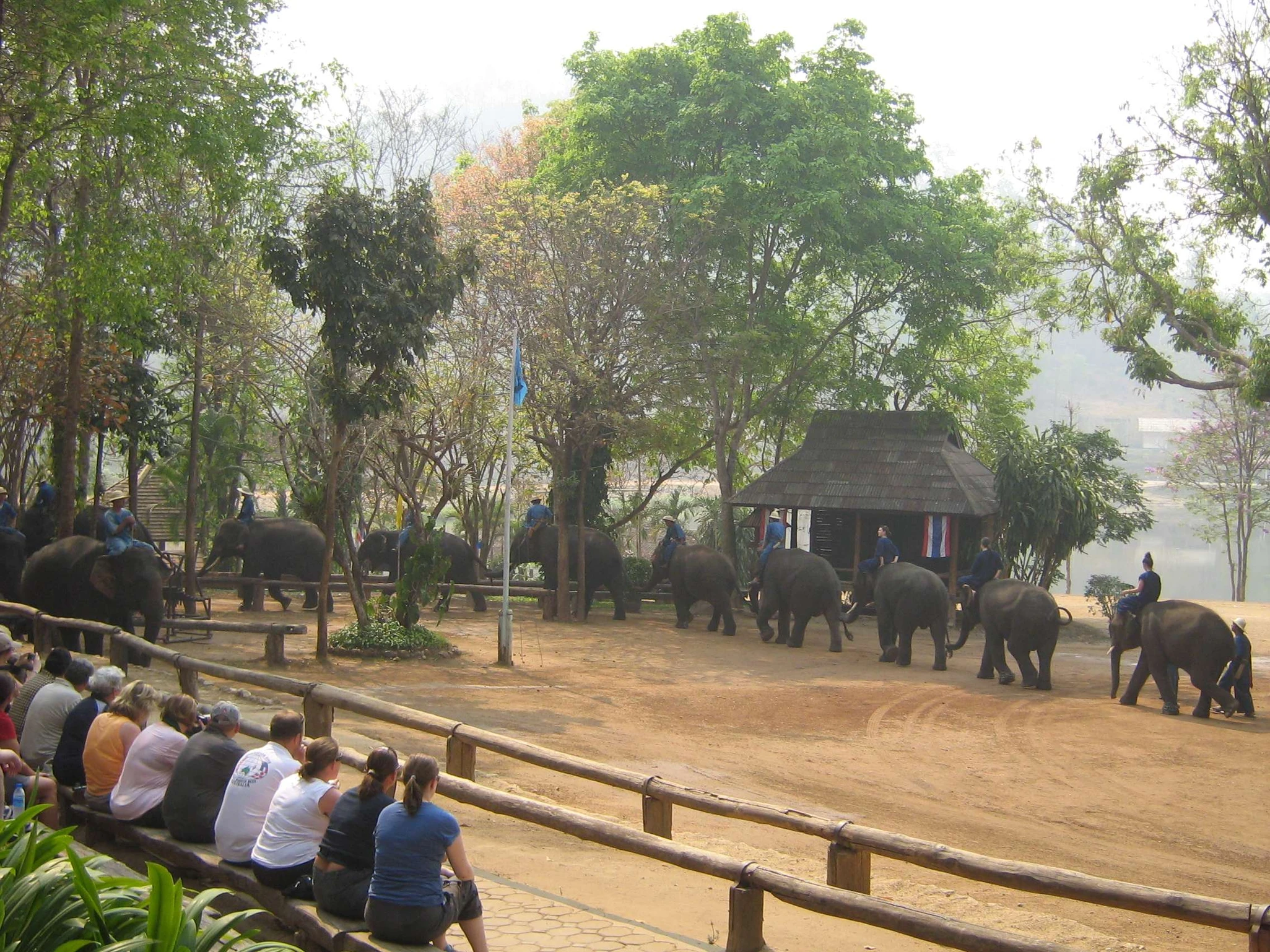 Read more about the article Mae Sa Elephant Camp